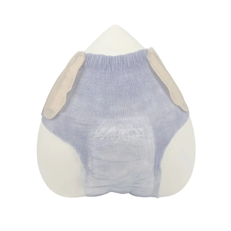 Disposable Period Underwear